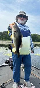 Lively battles with Largemouth Bass 